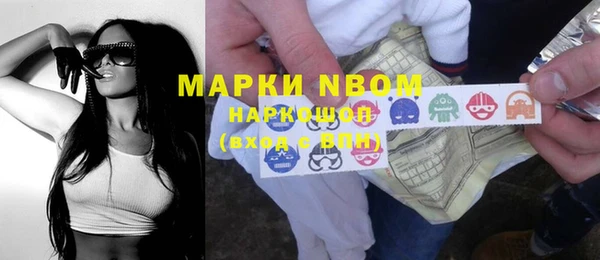 прущие грибы Алзамай