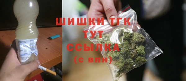 прущие грибы Алзамай