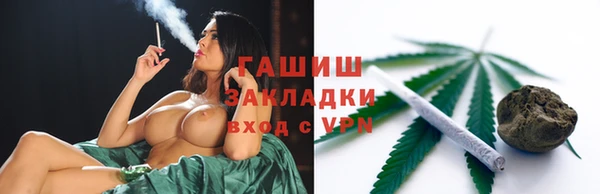 прущие грибы Алзамай