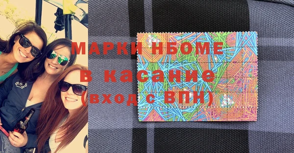 прущие грибы Алзамай