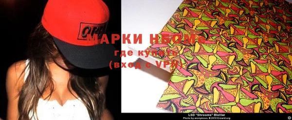 мдпв Алексин