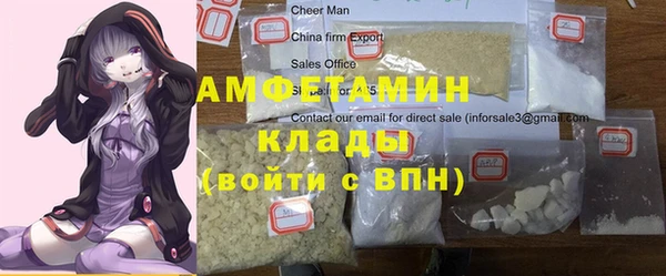 прущие грибы Алзамай
