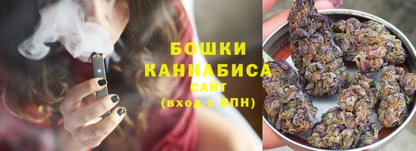 прущие грибы Алзамай