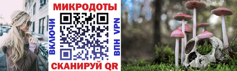 Псилоцибиновые грибы Psilocybine cubensis  mega ТОР  Михайловск  где купить наркоту 