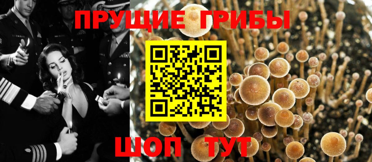Амфетамин Михайловск