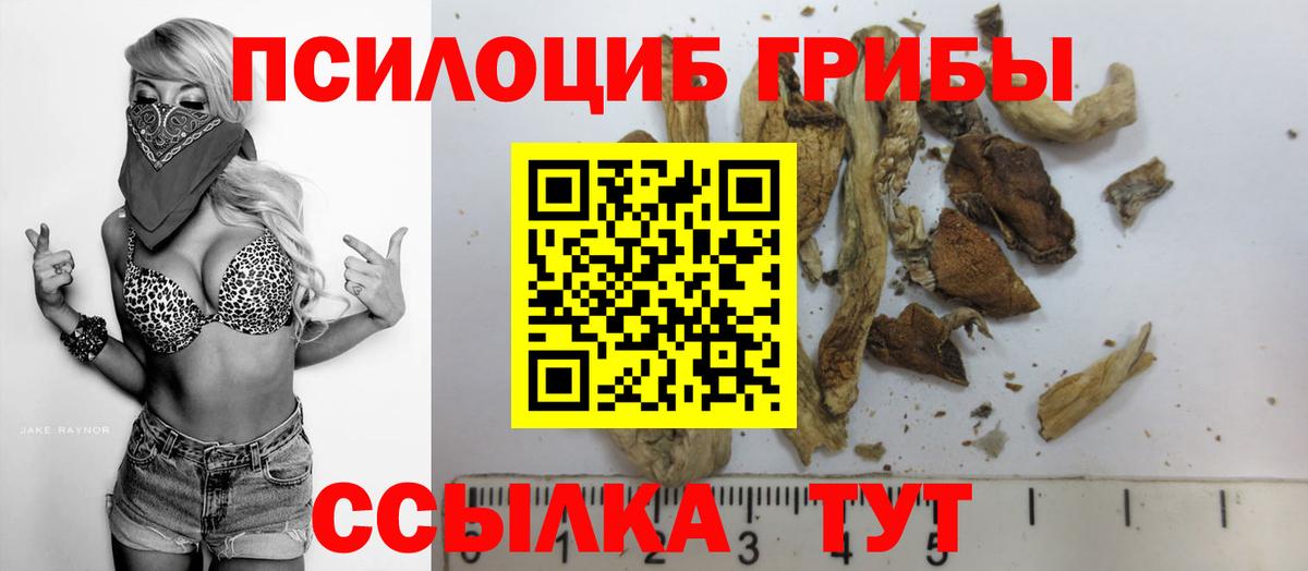 Галлюциногенные грибы Cubensis  Вход с VPN  Михайловск 